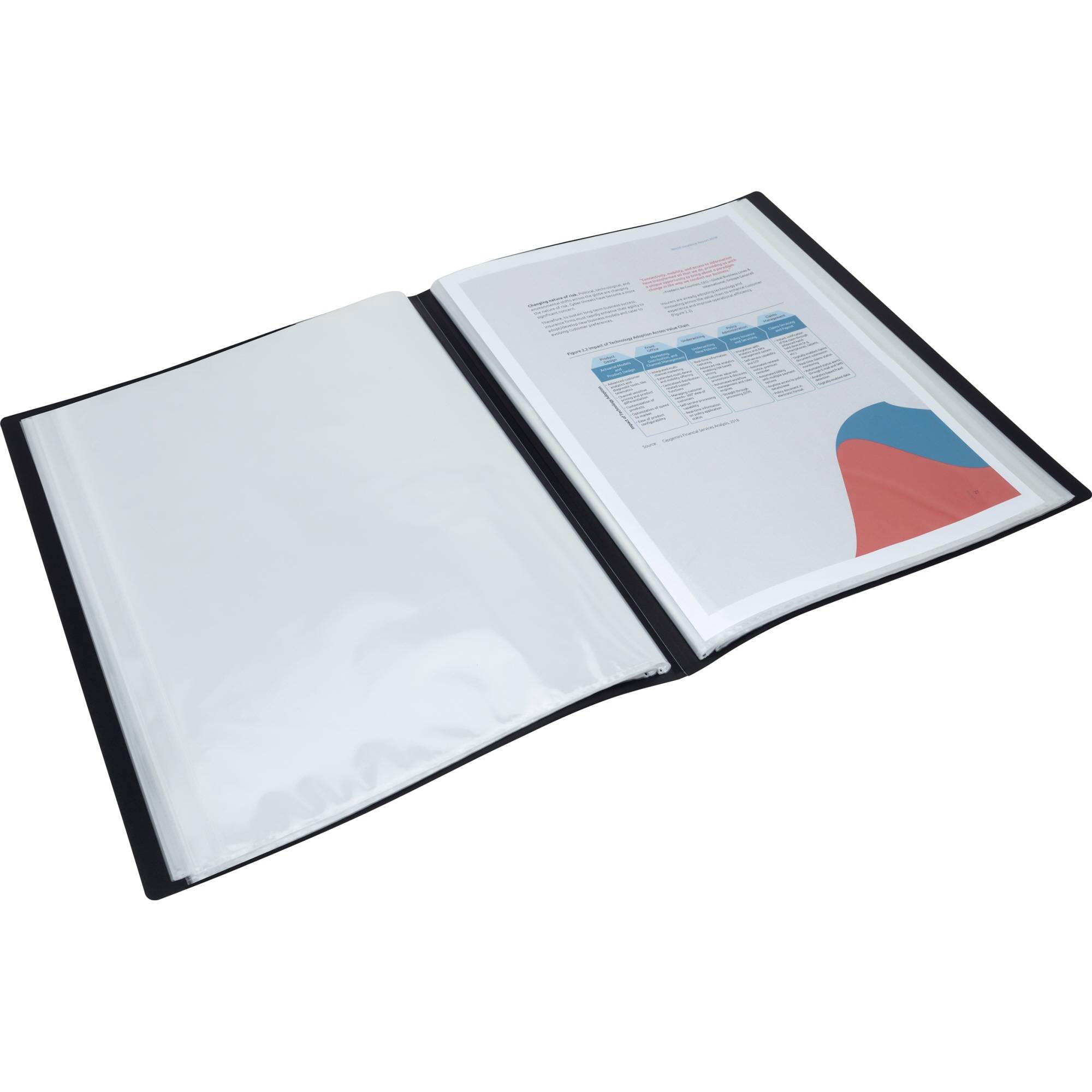 RAPESCO Sichtbuch Germ-Savvy 1645 A4 100Hüllen schwarz 2St.