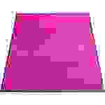 Schmutzfangmatte Eazycare Color 90x150cm pink