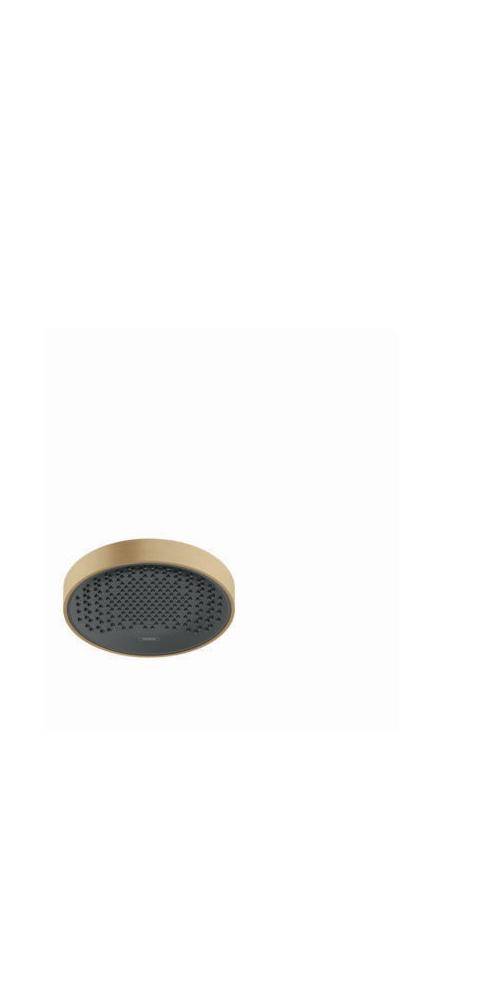 hansgrohe HG Kopfbrause Rainfinity 250 1jet Deckenmontage brushed