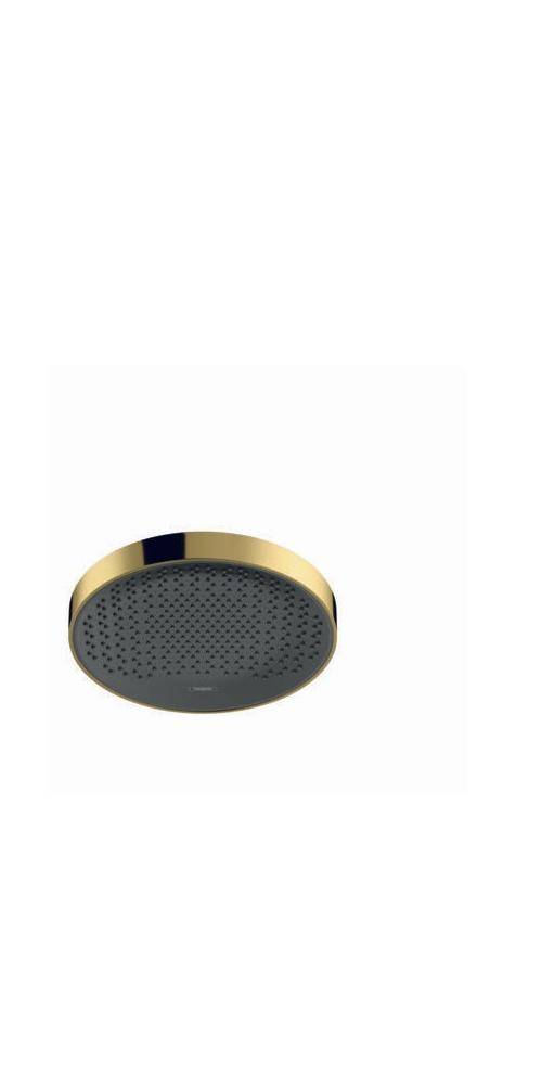 hansgrohe HG Kopfbrause Rainfinity 360 1jet Deckenmontage polished