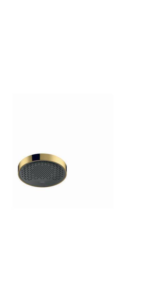 hansgrohe HG Kopfbrause Rainfinity 250 1jet EcoSm Deckenmontage