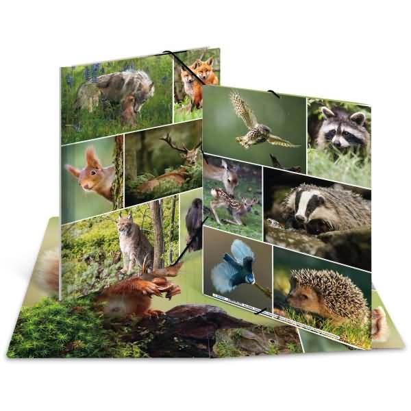 Sammelmappen A4 Karton Waldtiere