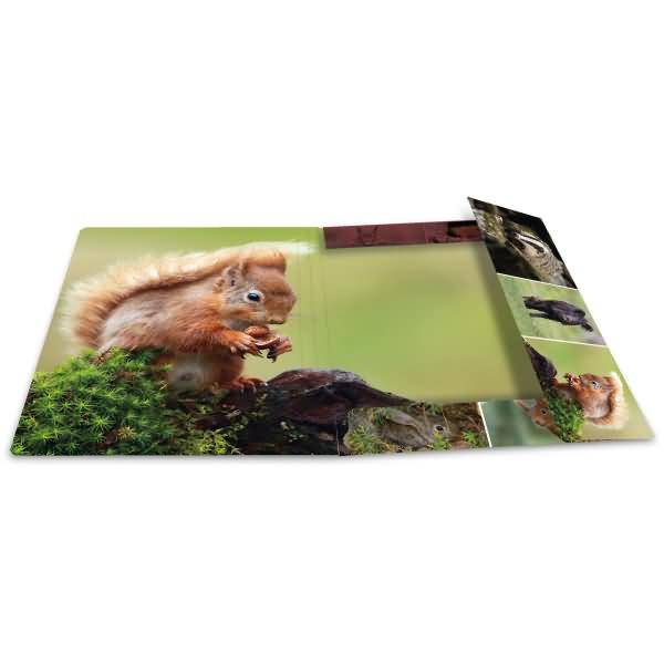 Sammelmappen A4 Karton Waldtiere