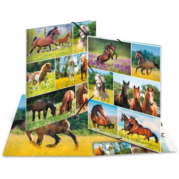Sammelmappen A4 Karton Pferdewiese