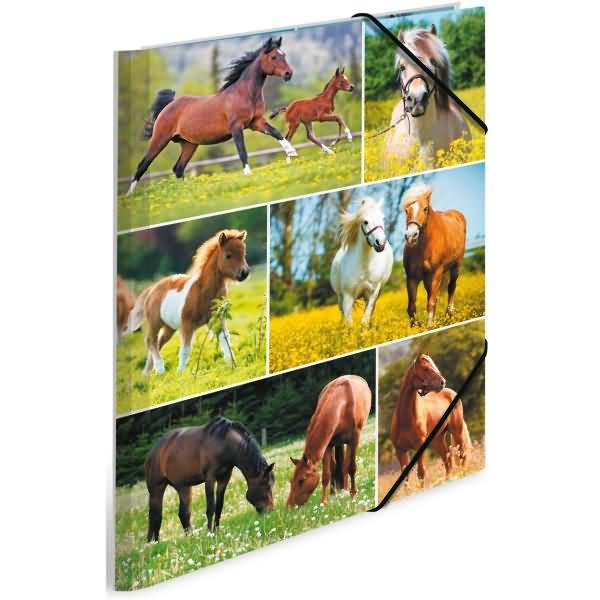 Sammelmappen A4 Karton Pferdewiese