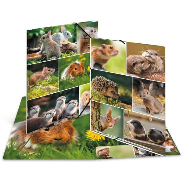Sammelmappen A4 Karton Nagetiere