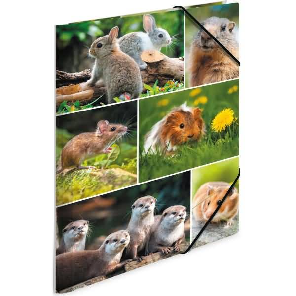 Sammelmappen A4 Karton Nagetiere