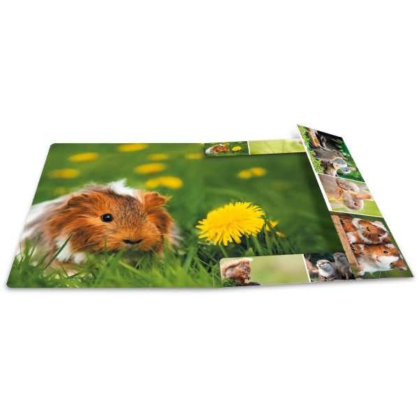 Sammelmappen A4 Karton Nagetiere