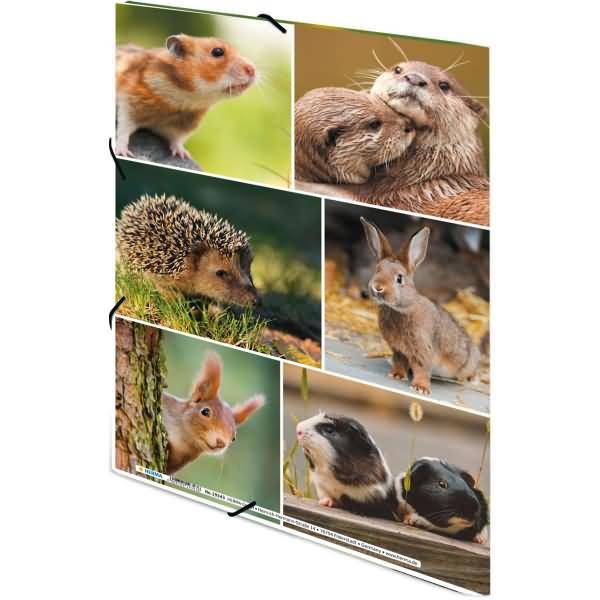 Sammelmappen A4 Karton Nagetiere