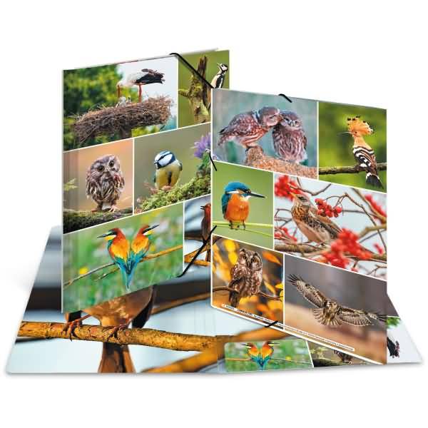 Sammelmappen A4 Karton Heimatvögel