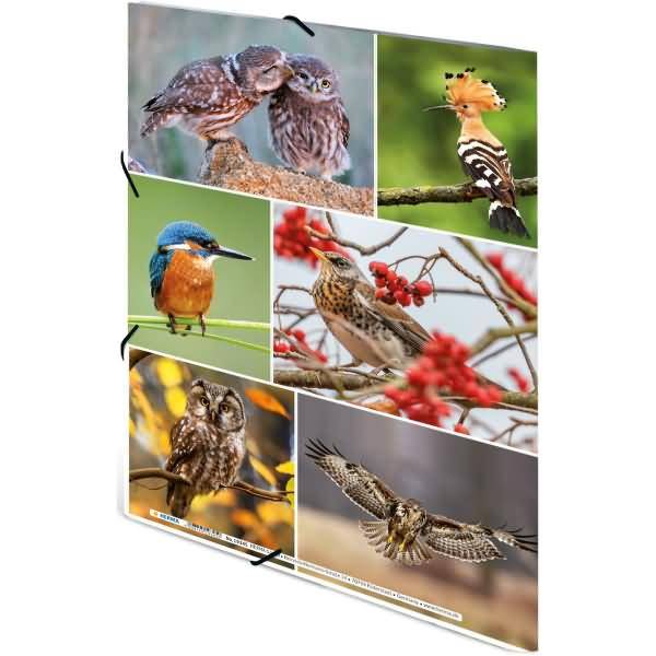 Sammelmappen A4 Karton Heimatvögel