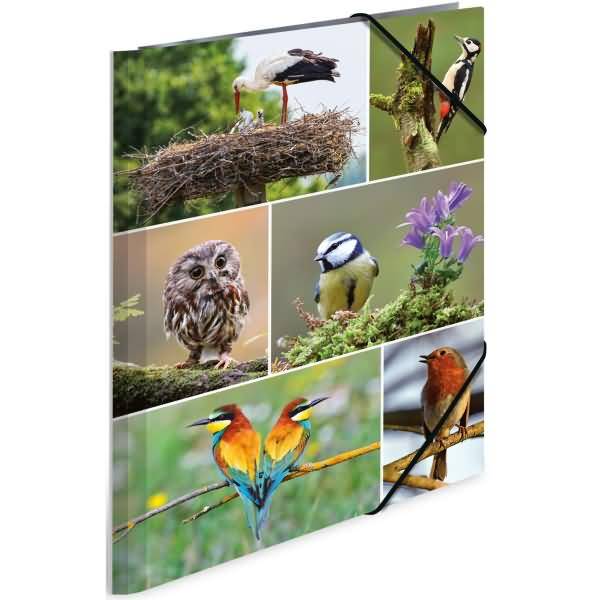 Sammelmappen A4 Karton Heimatvögel