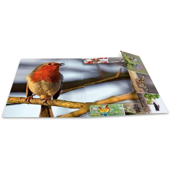 Sammelmappen A4 Karton Heimatvögel