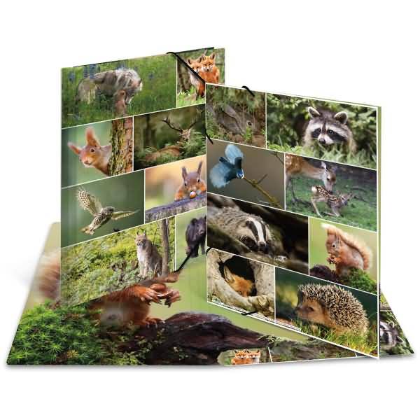 Sammelmappen A3 Karton Waldtiere