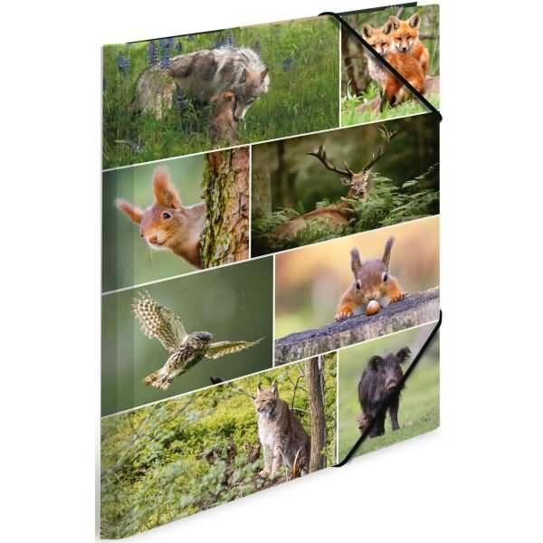 Sammelmappen A3 Karton Waldtiere