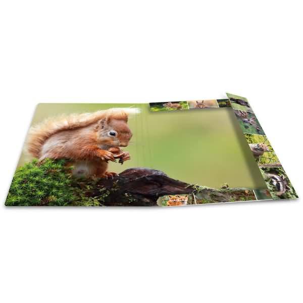 Sammelmappen A3 Karton Waldtiere