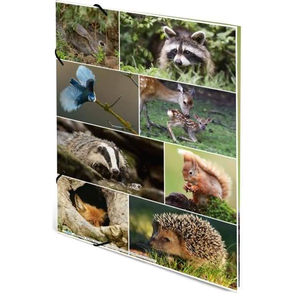Sammelmappen A3 Karton Waldtiere