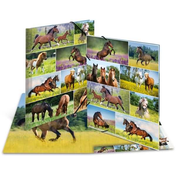 Sammelmappen A3 Karton Pferdewiese
