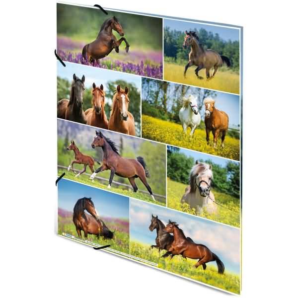 Sammelmappen A3 Karton Pferdewiese