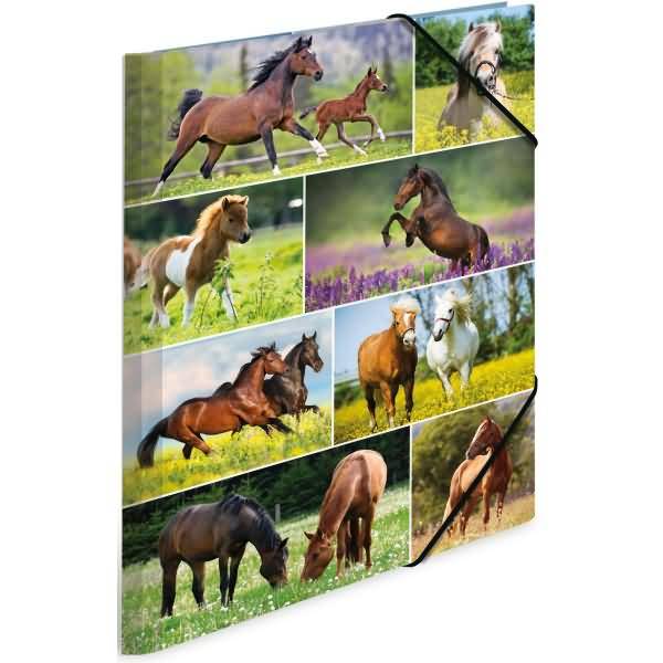 Sammelmappen A3 Karton Pferdewiese