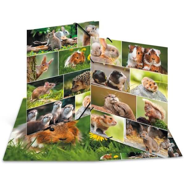 Sammelmappen A3 Karton Nagetiere