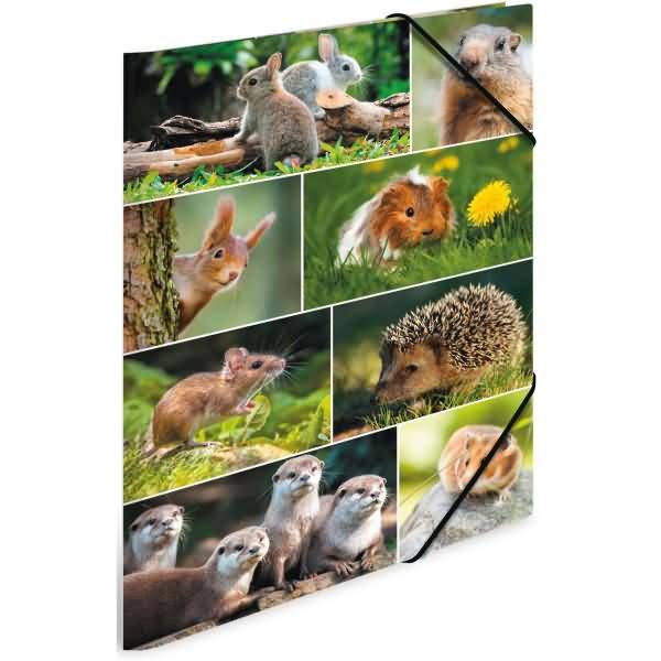 Sammelmappen A3 Karton Nagetiere