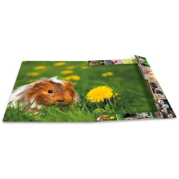 Sammelmappen A3 Karton Nagetiere