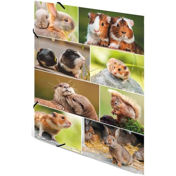 Sammelmappen A3 Karton Nagetiere