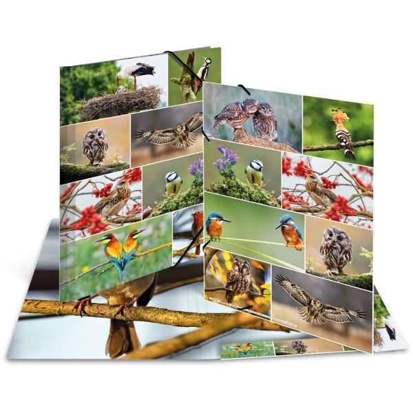 Sammelmappen A3 Karton Heimatvögel