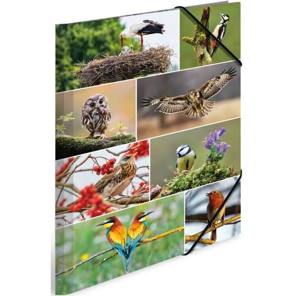 Sammelmappen A3 Karton Heimatvögel