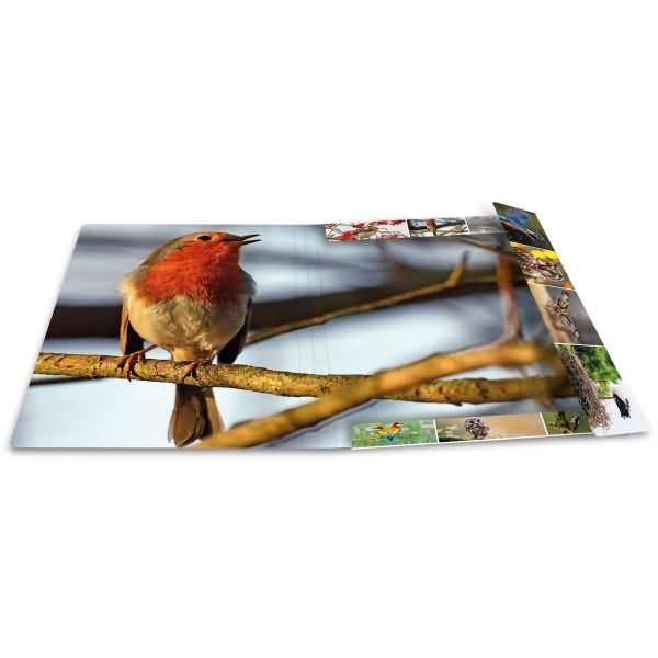 Sammelmappen A3 Karton Heimatvögel