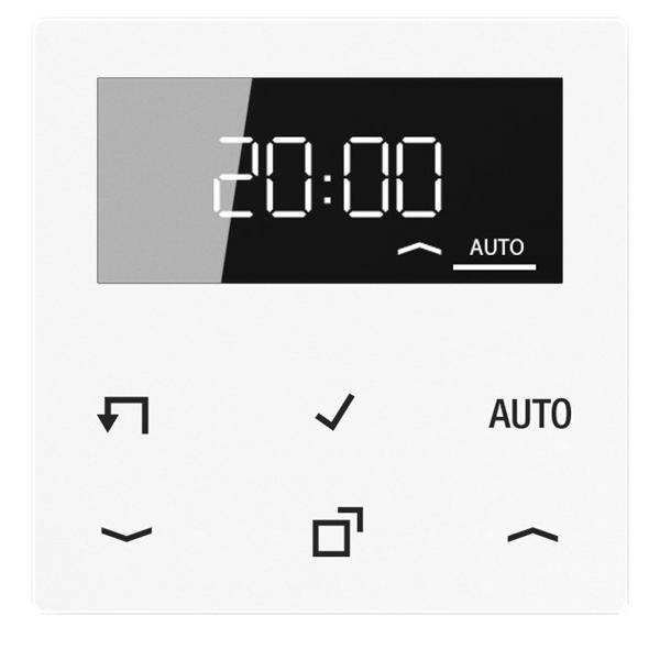 Jung Timer Standard, Display A 1750 D WW