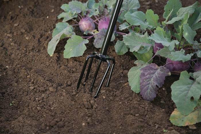 Kultivator 150mm 5 Zinken FREUND VICTORIA