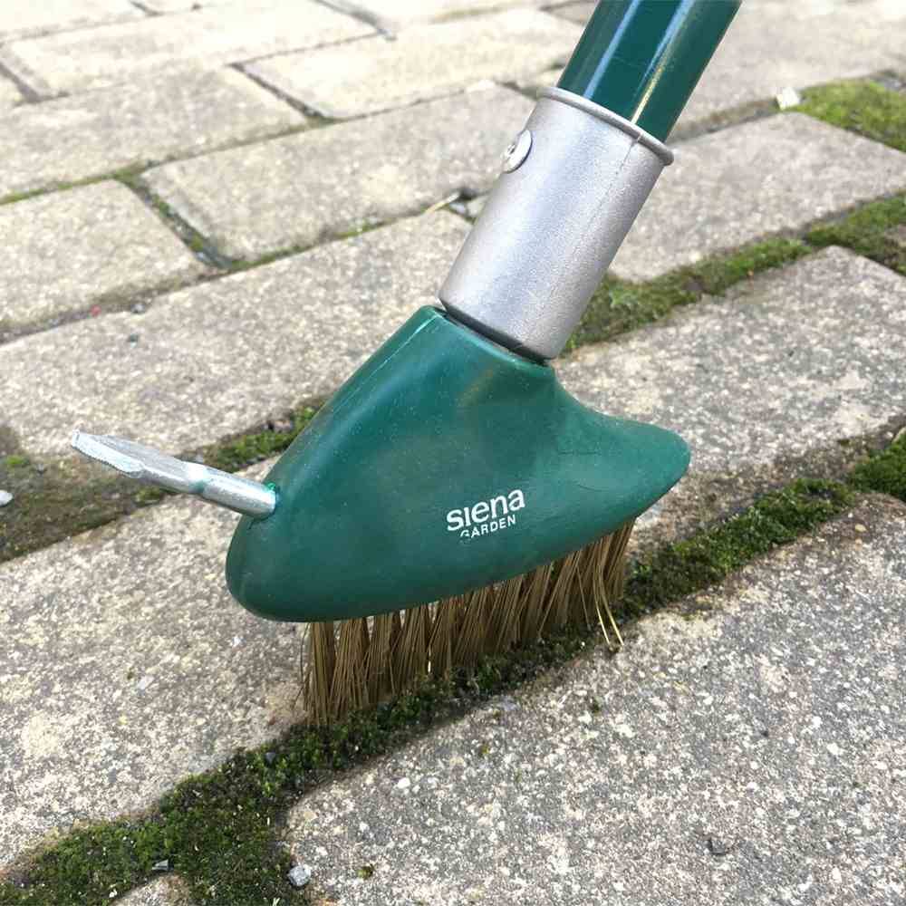Siena Garden G95079 Ersatz Fugenbürste für 3in1 Fugenbürste D37120, grün (1 Stück)