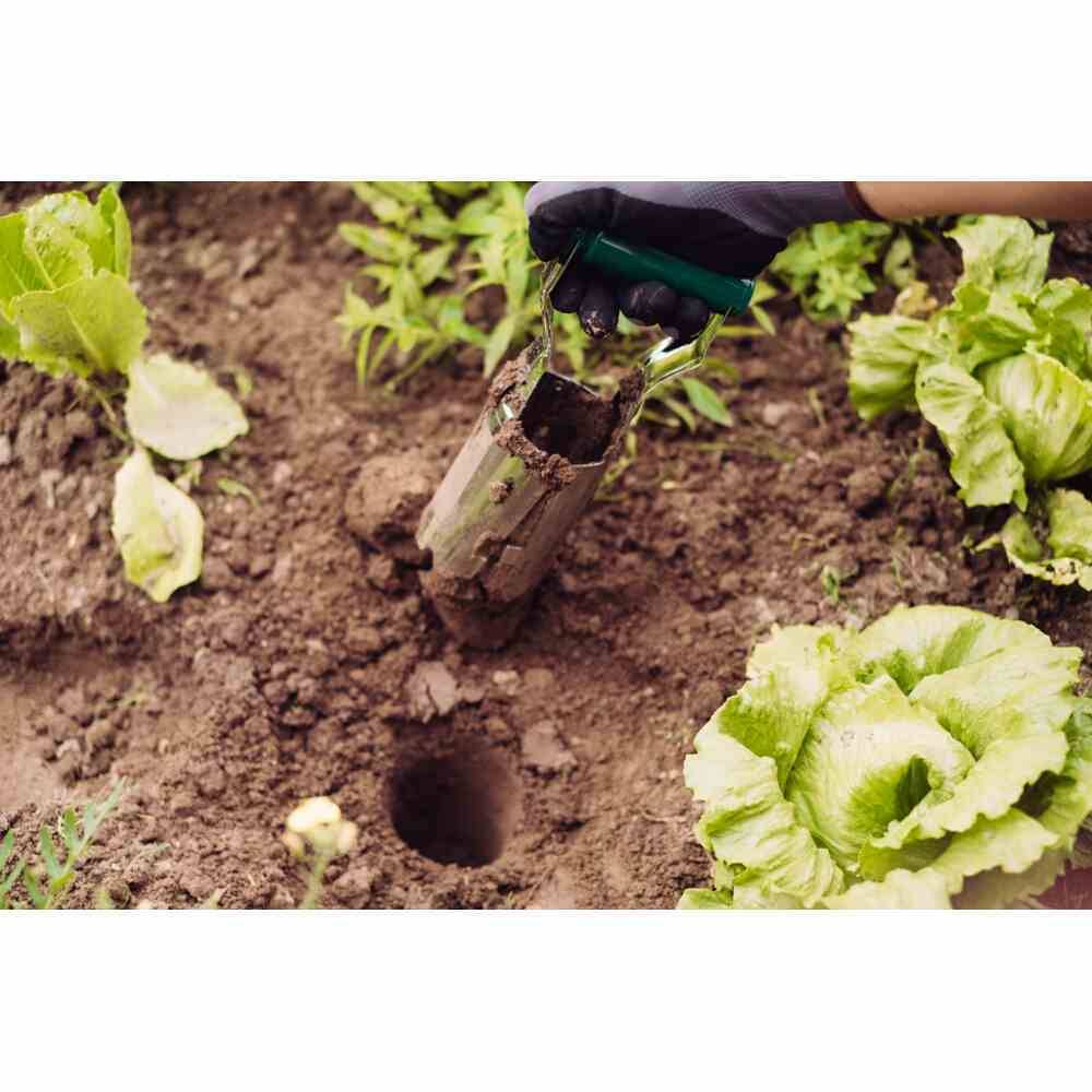 Siena Garden 468-075 Blumenzwiebel Pflanzautomat, grün/silber