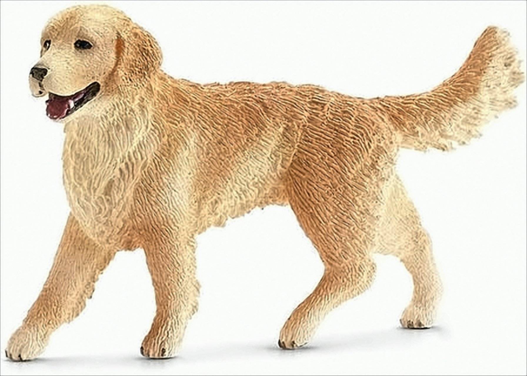 GW59f8 Schleich Golden Retriever Hündin Neu & OVP