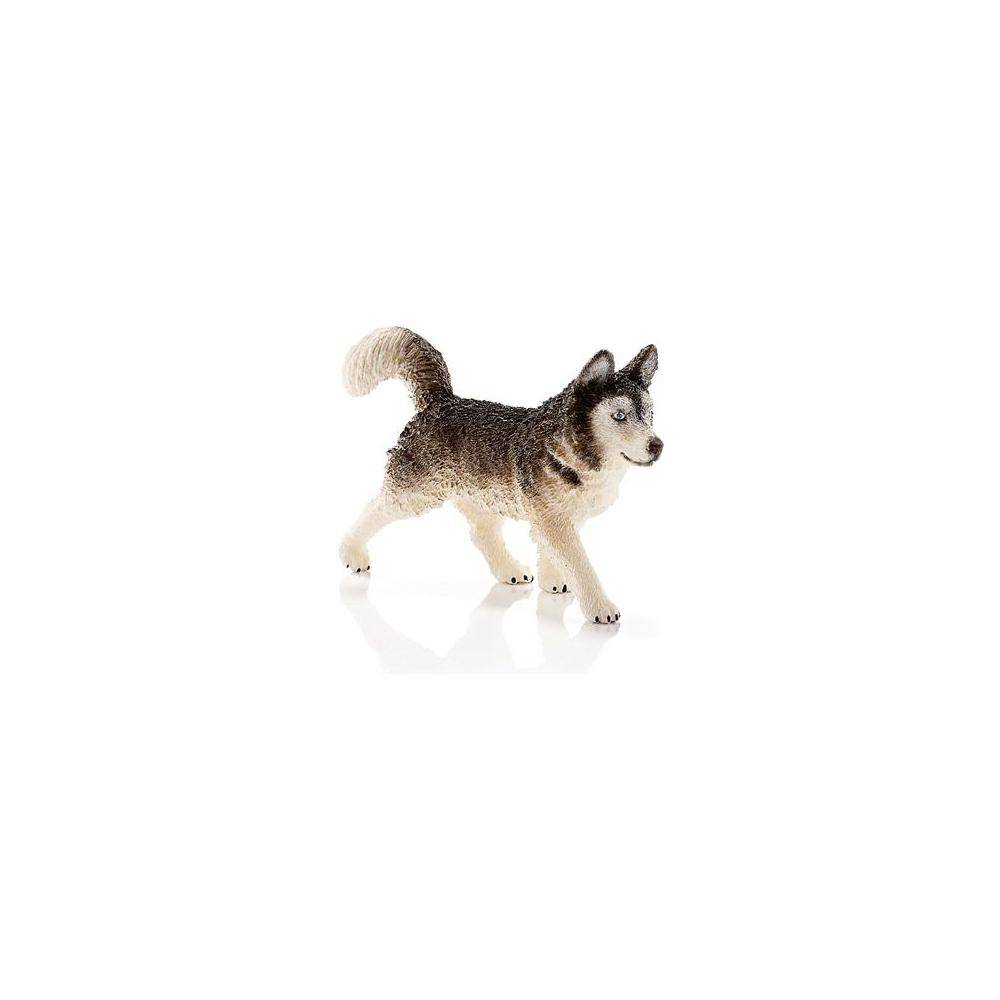 Schleich 16835 - Husky, Tier Spielfigur Neu & OVP