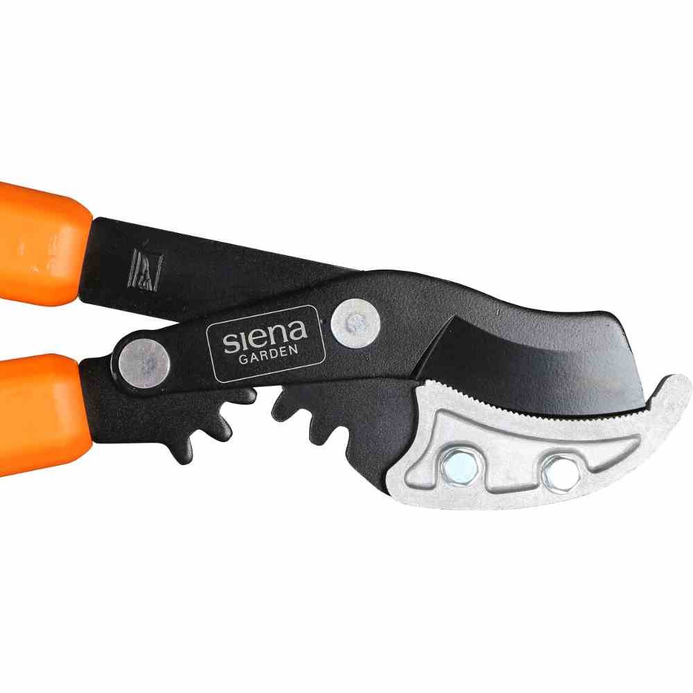 Siena Garden CL2740 Getriebe Amboss Astschere Länge 74cm, silber/schwarz