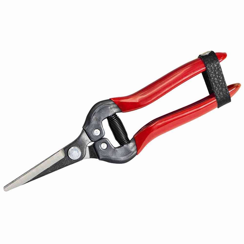 Siena Garden 313-239 Premium Lese/Blumenschere Länge: 19cm, rot/grau