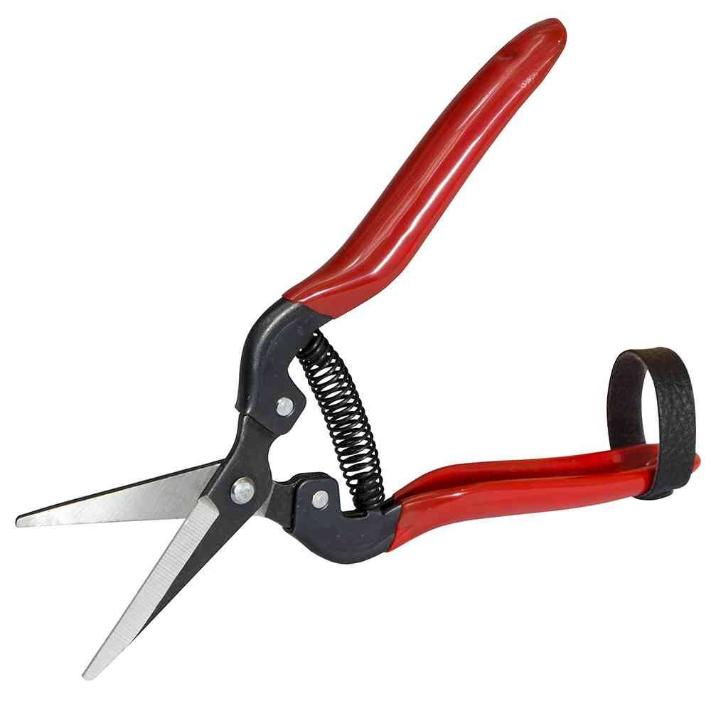 Siena Garden 313-239 Premium Lese/Blumenschere Länge: 19cm, rot/grau