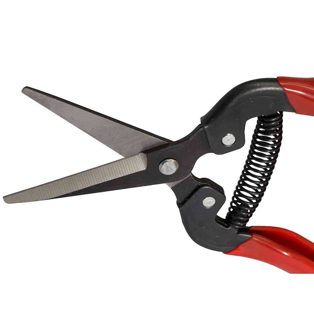 Siena Garden 313-239 Premium Lese/Blumenschere Länge: 19cm, rot/grau