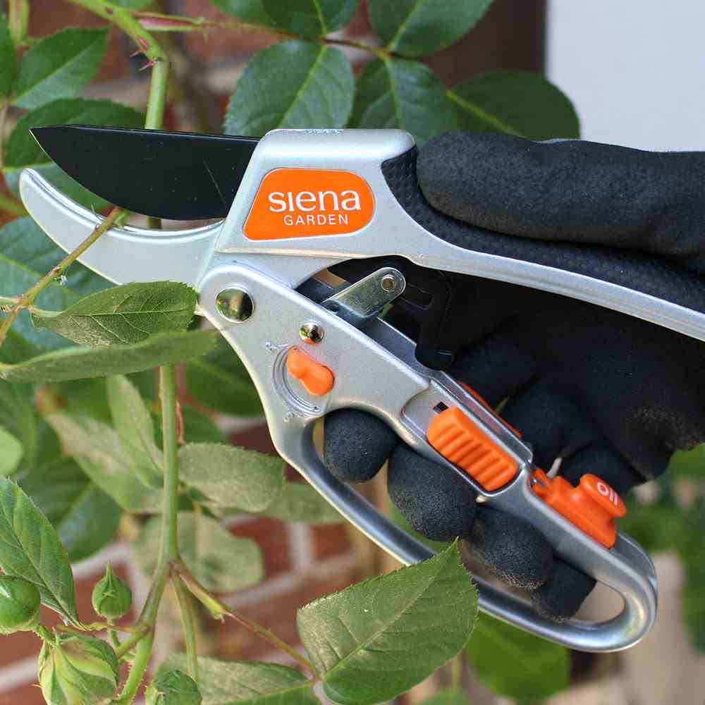 Siena Garden 557-309 Ratschenschere 20,5 cm, grausilber/schwarz/orange