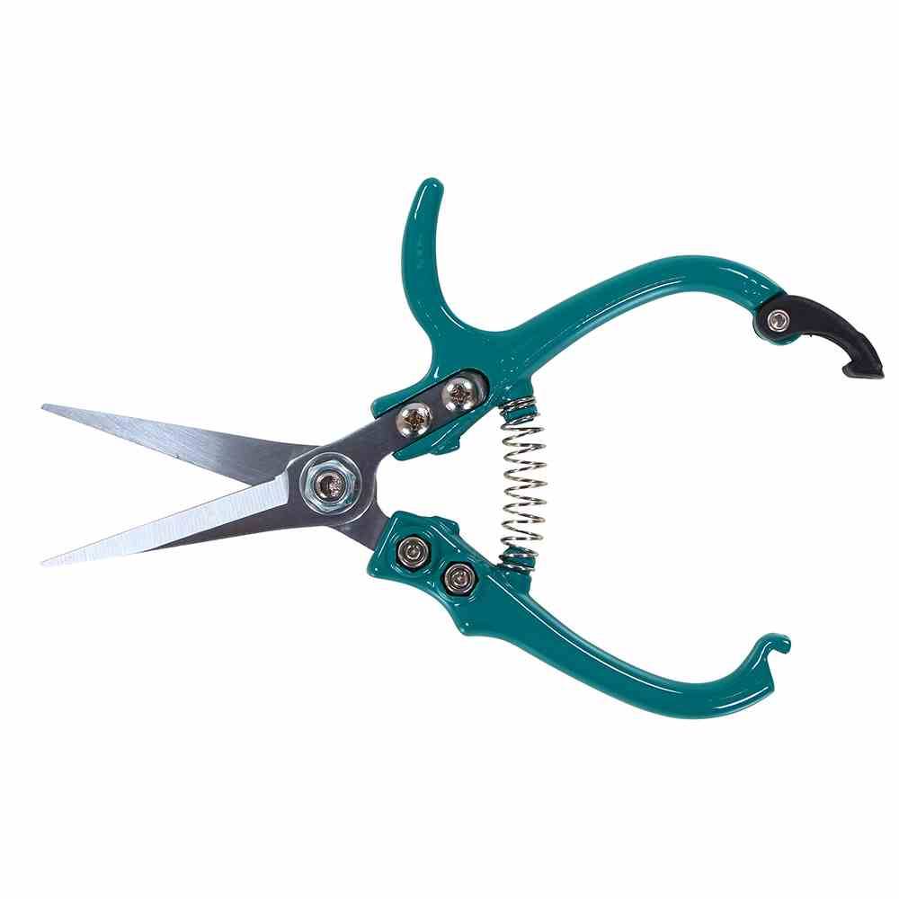 Siena Garden D46448 Floristenschere CG2090 17cm, Alu-Korpus, grün