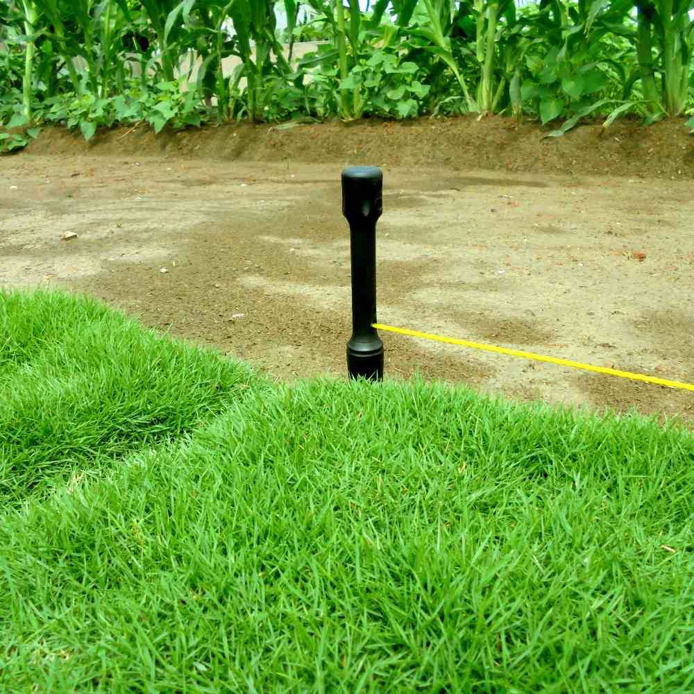 Siena Garden K98213 Pflanzleine 15m mit 2 Stäben, schwarz/gelb