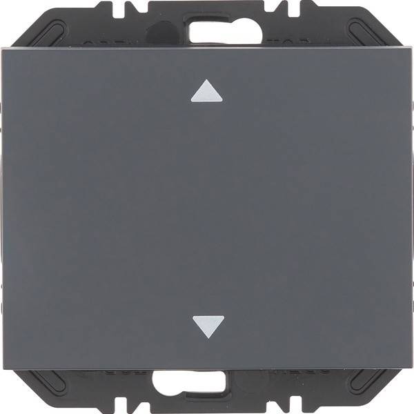 Berker Modul Wippe 1f 24117206