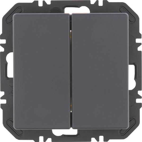 Berker Modul m. Wippe 2f 24126186