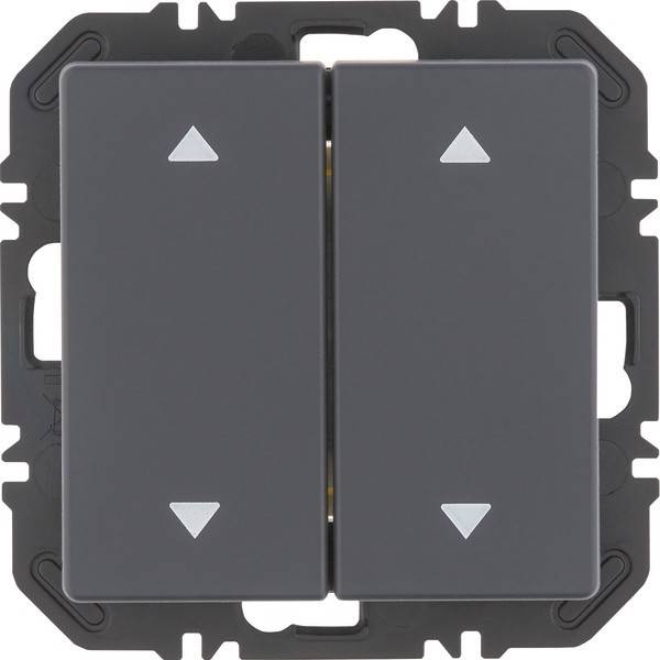 Berker Modul Wippe 2f 24126286