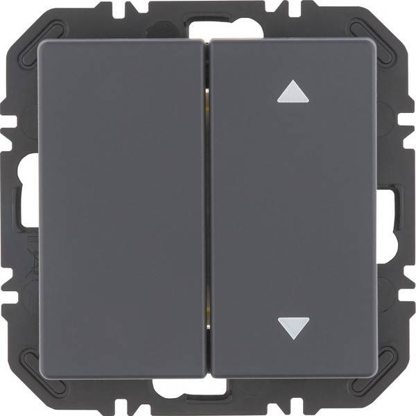 Berker Modul Wippe 2f 24126386