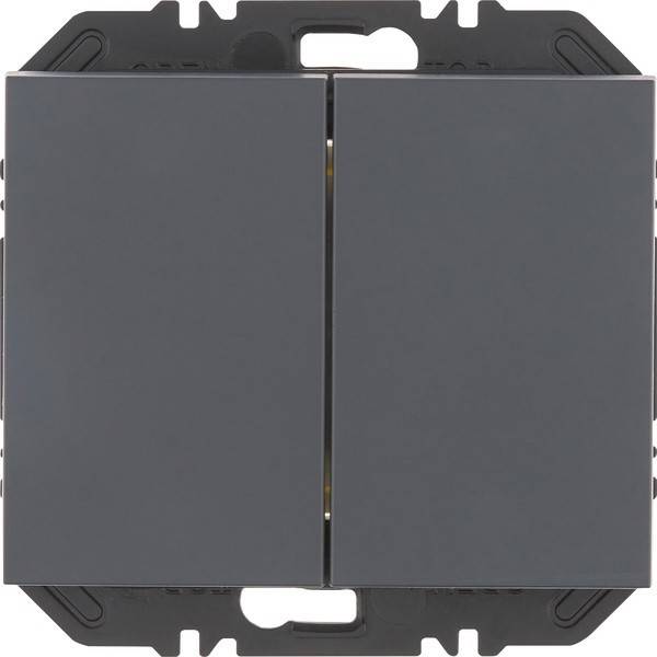 Berker Modul m. Wippe 2f 24127106