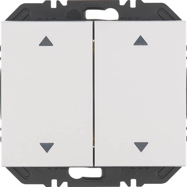 Berker Modul Wippe 2f 24127203